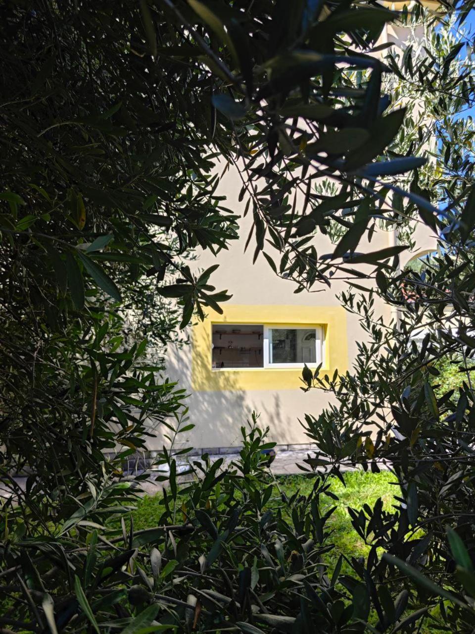 Apartmani Radovic Bijela Bagian luar foto